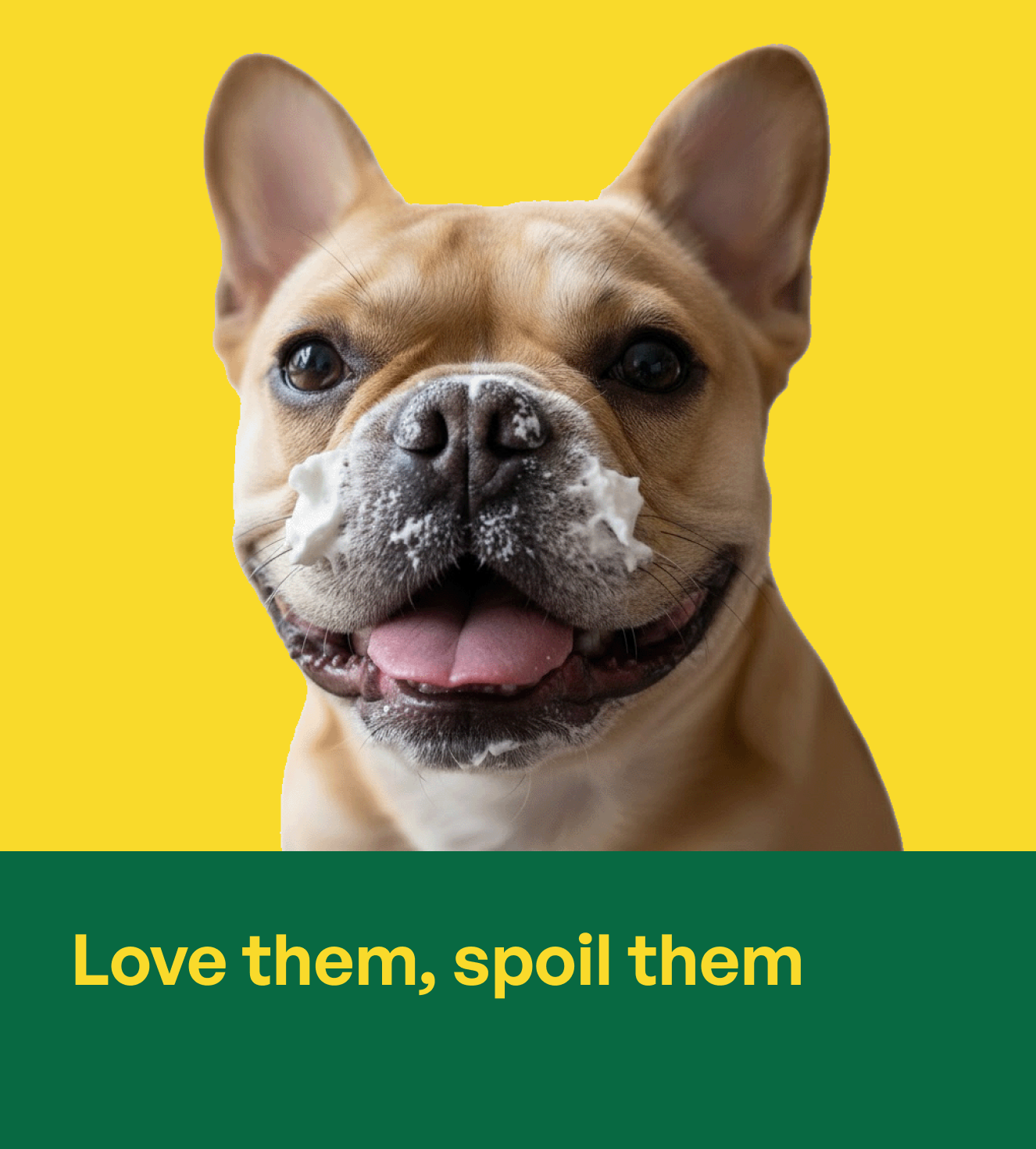 The Perfect Gift for Your Dog: Vibrant Lacquered Nylon No‑Pull Harnesses
