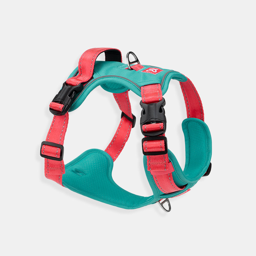 Premium No-pull harness