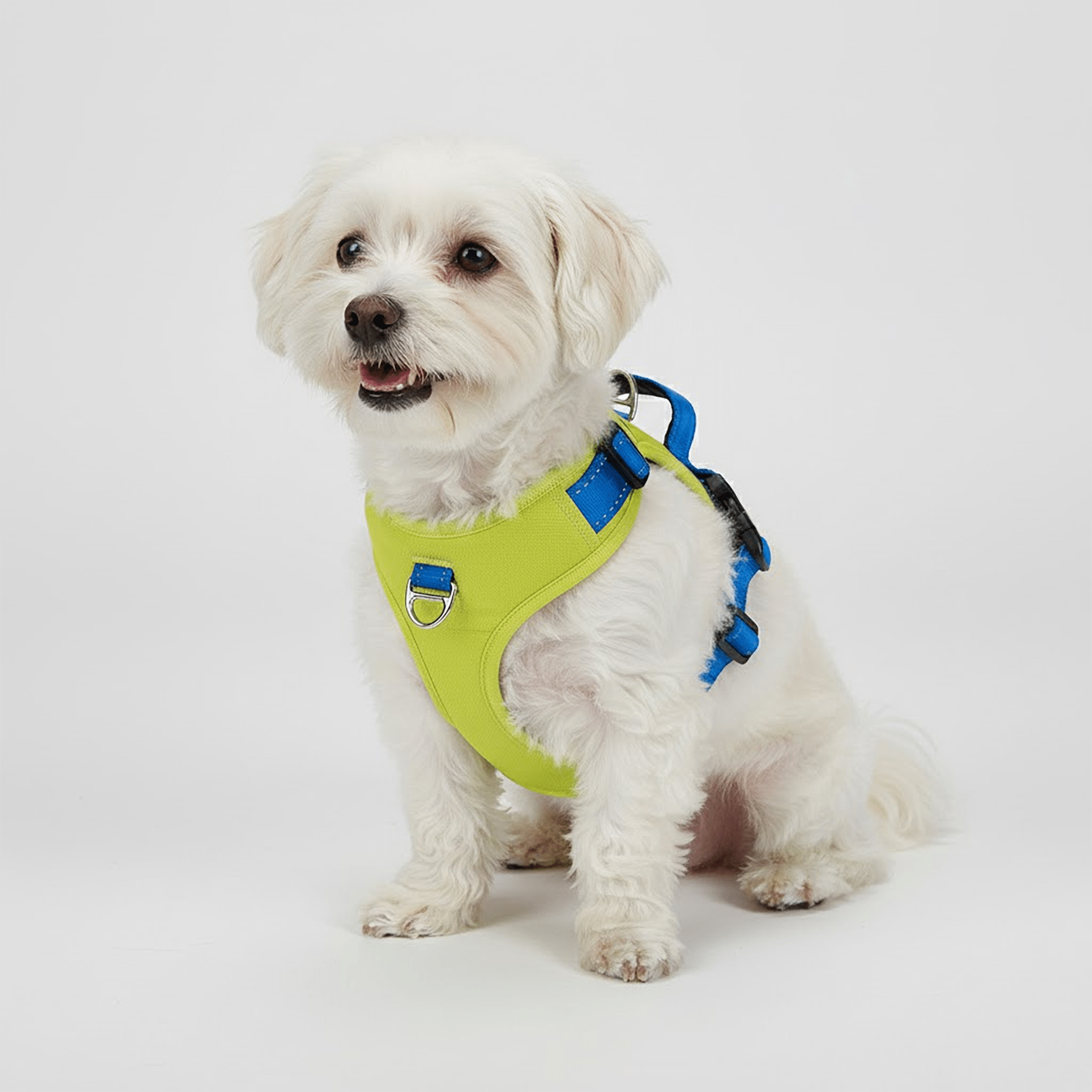 Durable No - Pull Harness - Brats Pet