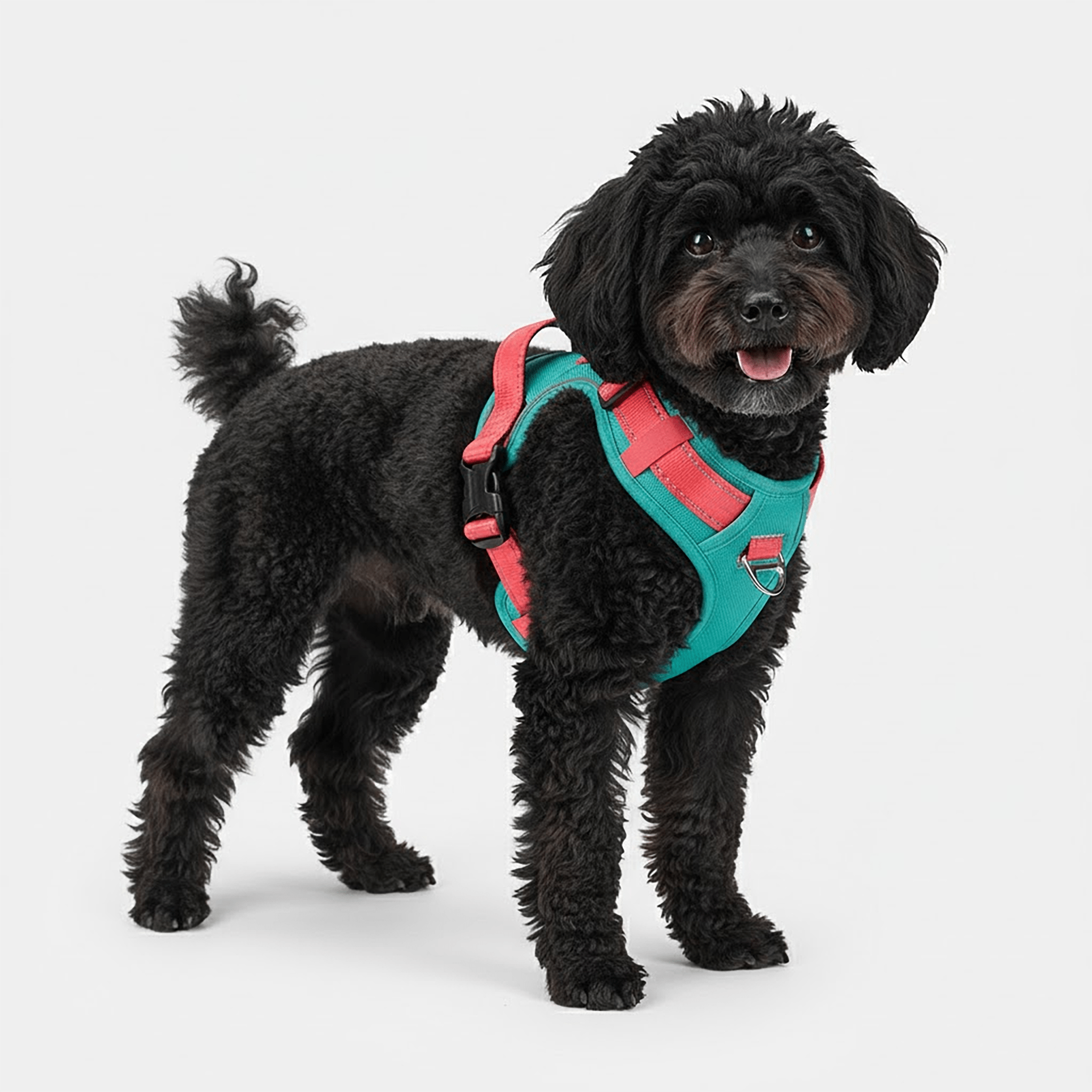 Durable No - Pull Harness - Brats Pet
