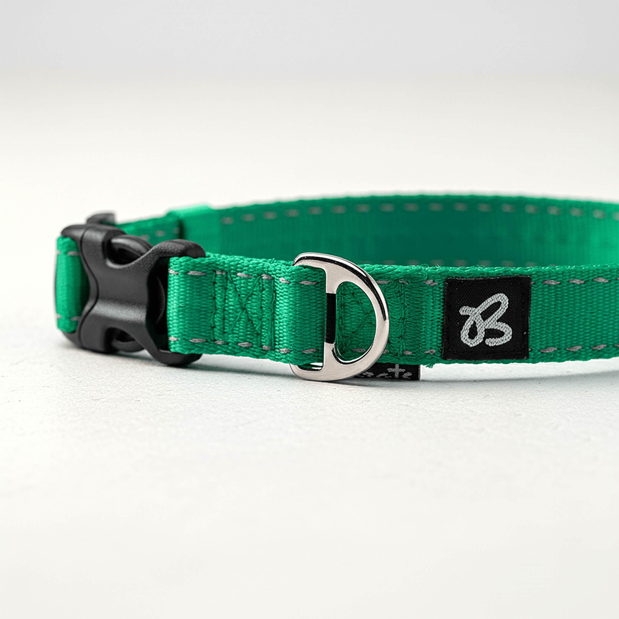 Lacquered Nylon Collar - Brats Pet