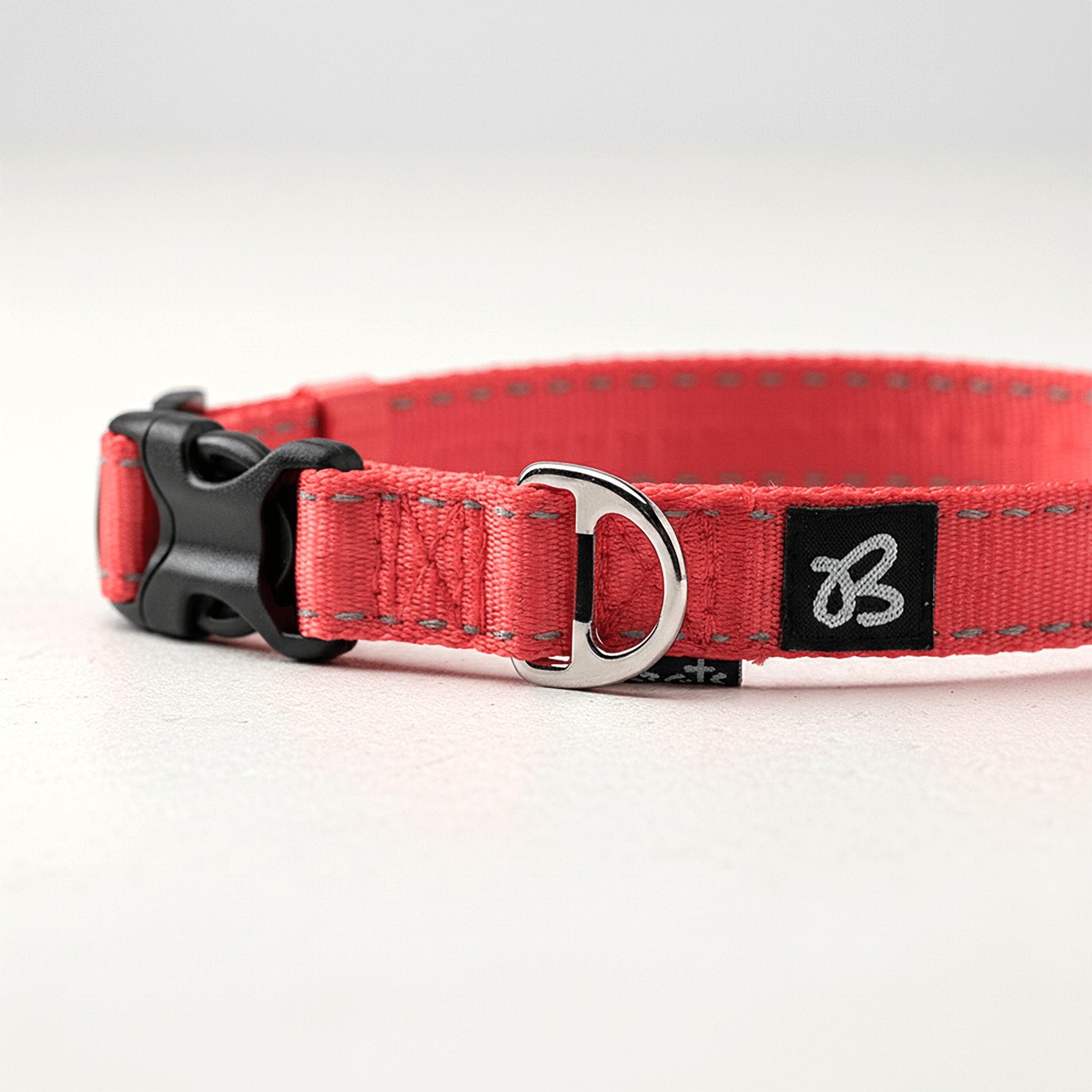 Lacquered Nylon Collar - Brats Pet