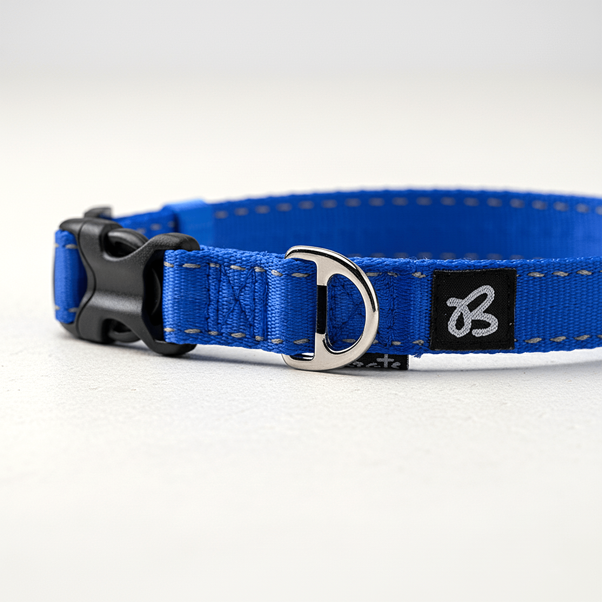 Lacquered Nylon Collar - Brats Pet