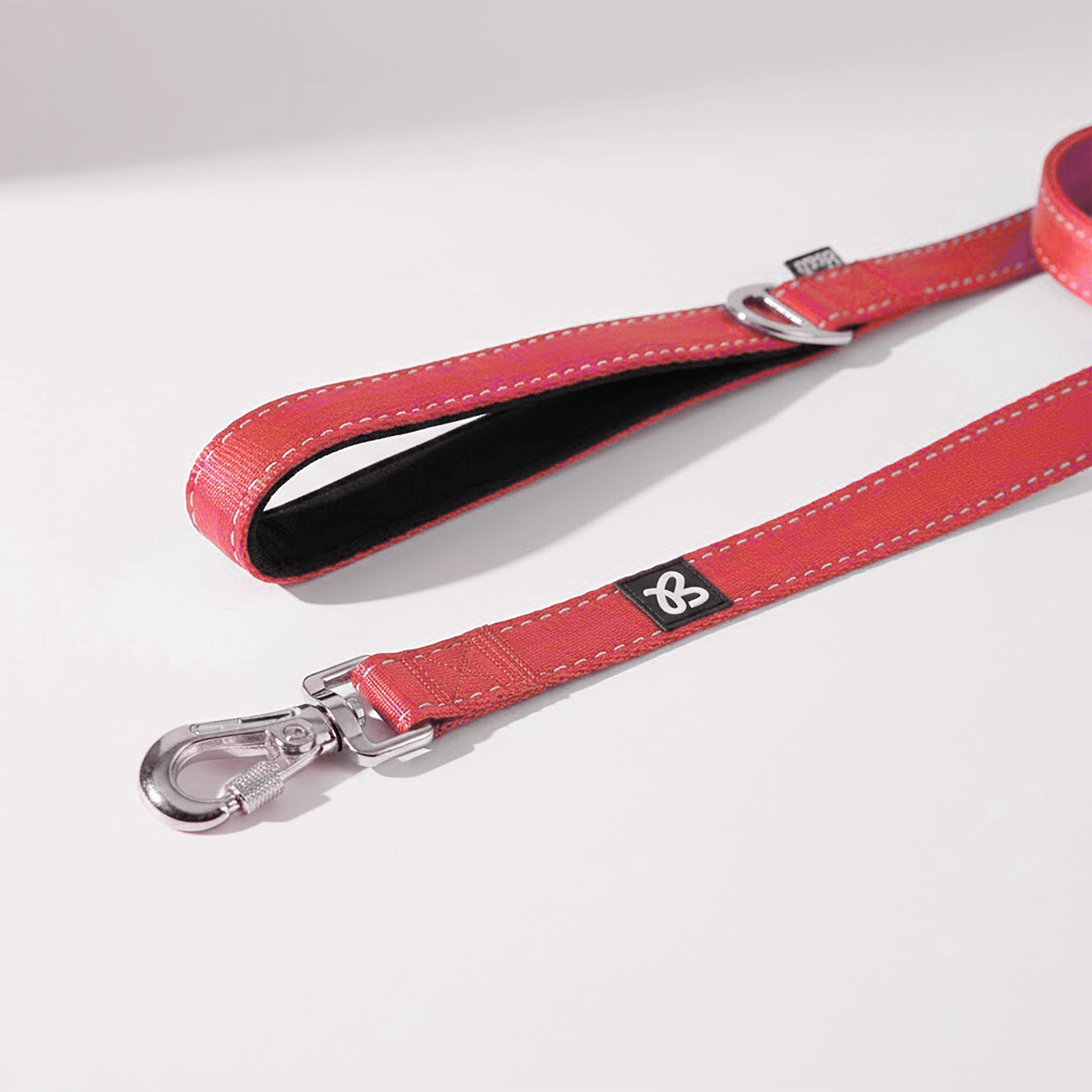 Lacquered Nylon Leash - Brats Pet